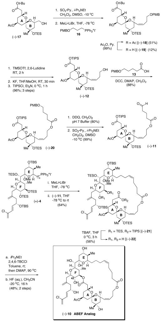 Scheme 2