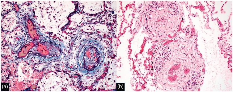 Fig. 5.