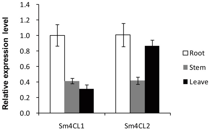 Figure 7