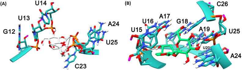 Fig. 10