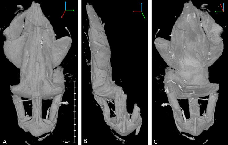 Figure 7