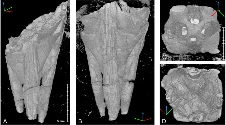 Figure 6