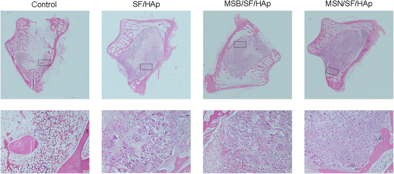 Fig. 10