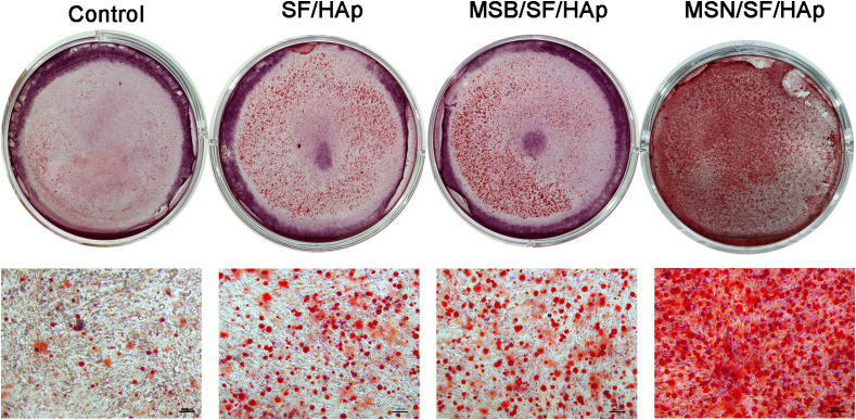 Fig. 7