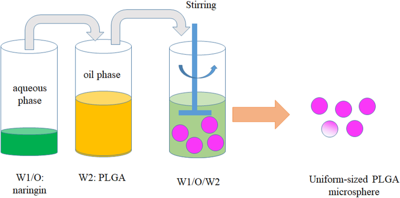 Fig. 1