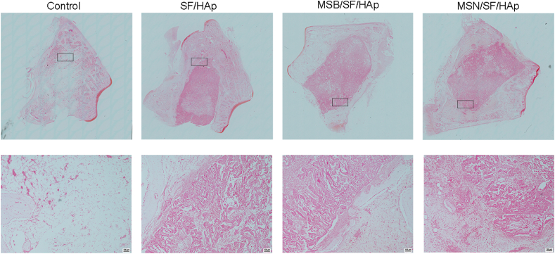 Fig. 12