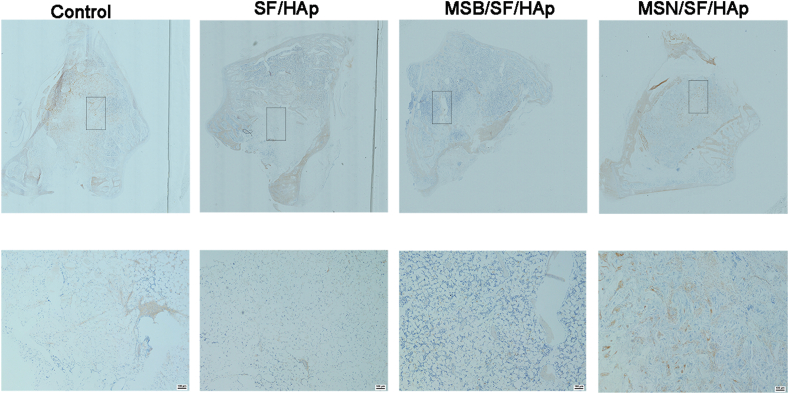 Fig. 13