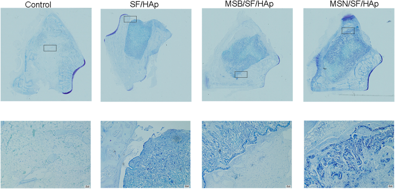 Fig. 11