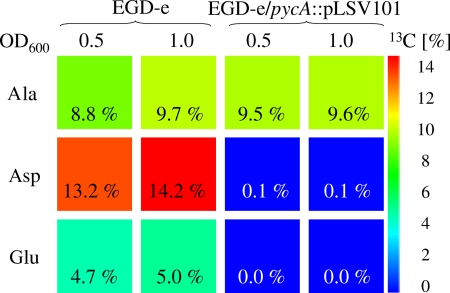 FIG. 2.