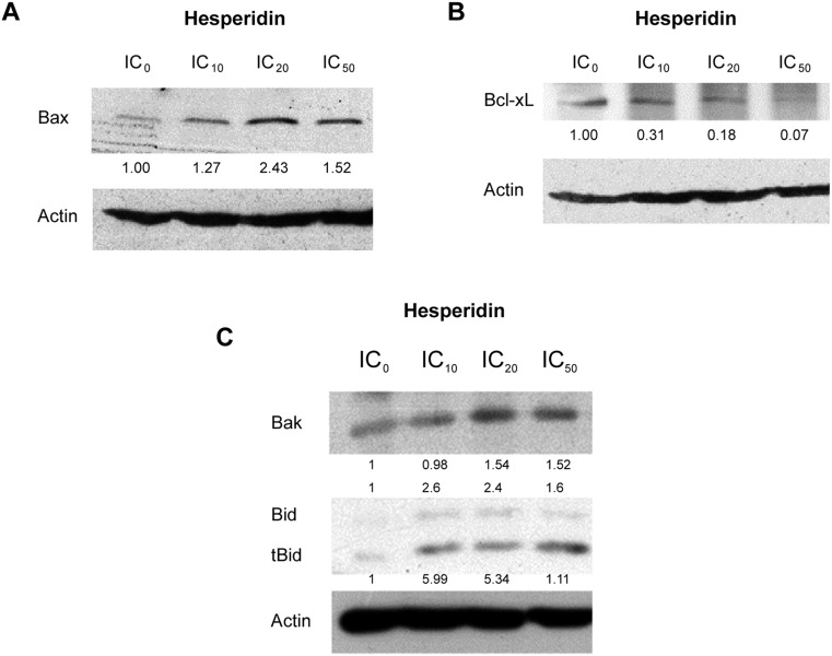 Fig. 9