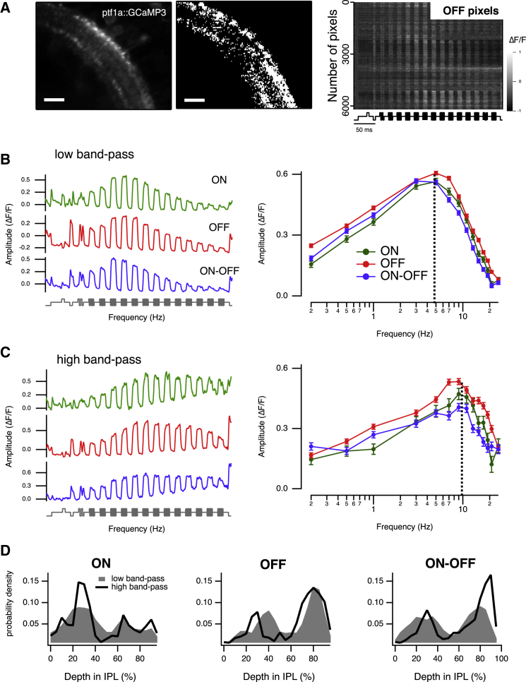 Figure 7