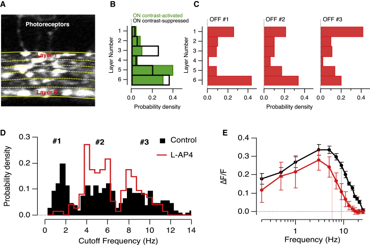 Figure 3