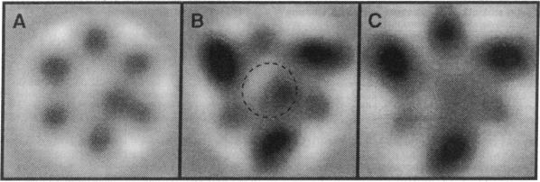 graphic file with name pnas01049-0088-a.jpg