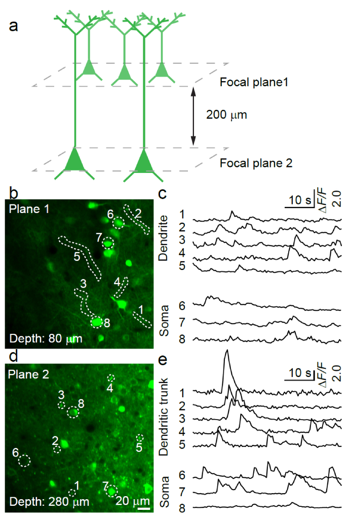 Fig. 4.