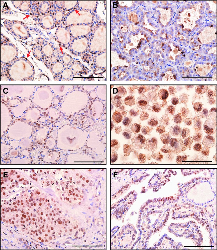 FIG. 5.