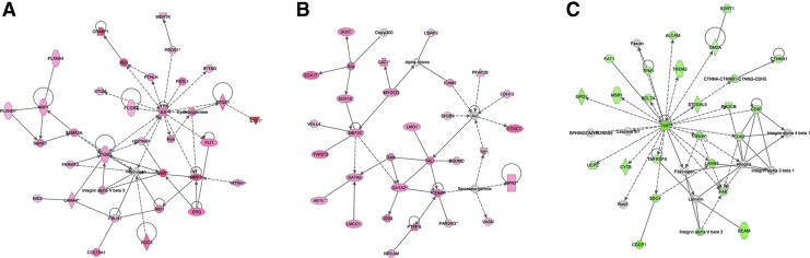 FIG. 2.