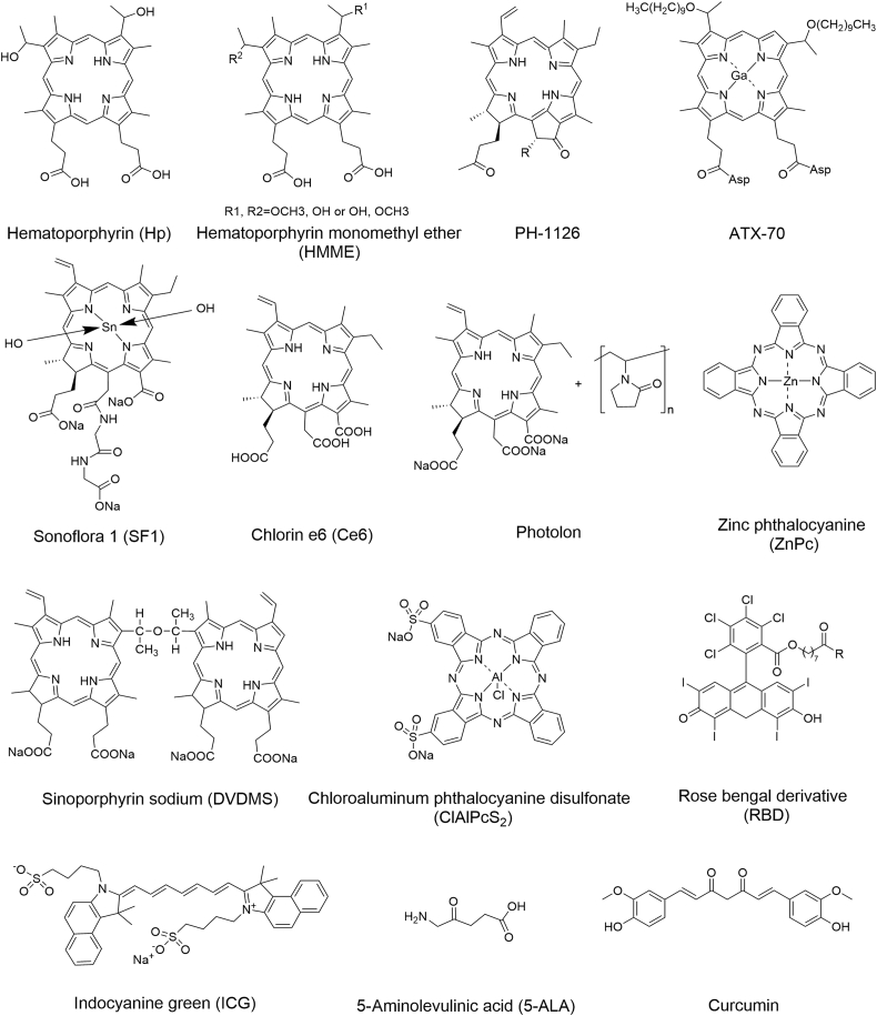 Fig. 2