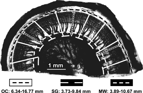 FIG. 1