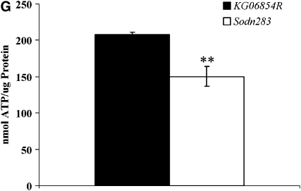 Figure 5.—