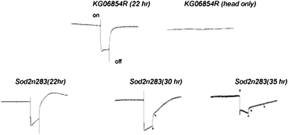 Figure 1.—