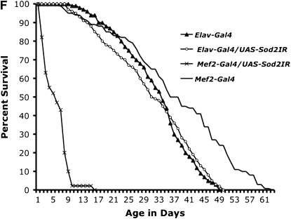 Figure 4.—