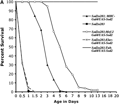 Figure 4.—