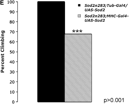 Figure 4.—