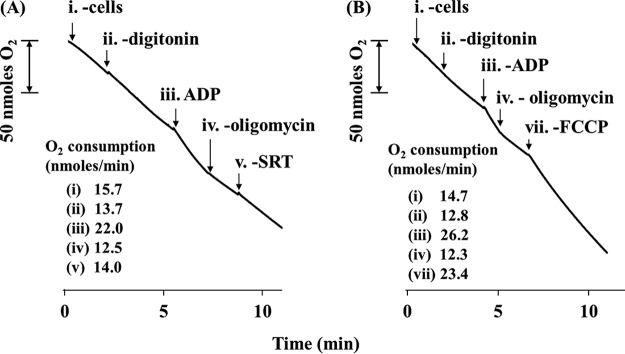 FIG 4