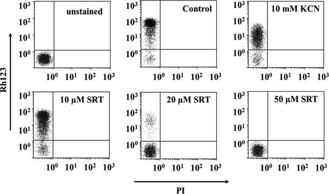 FIG 3