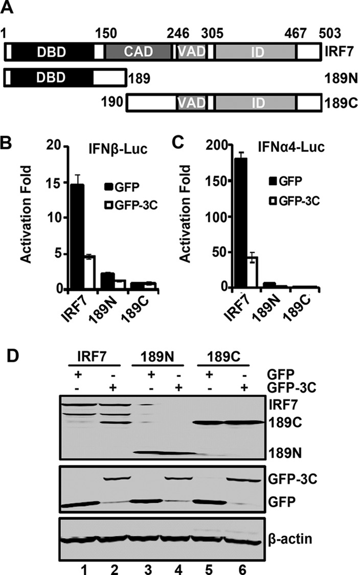 Fig 8