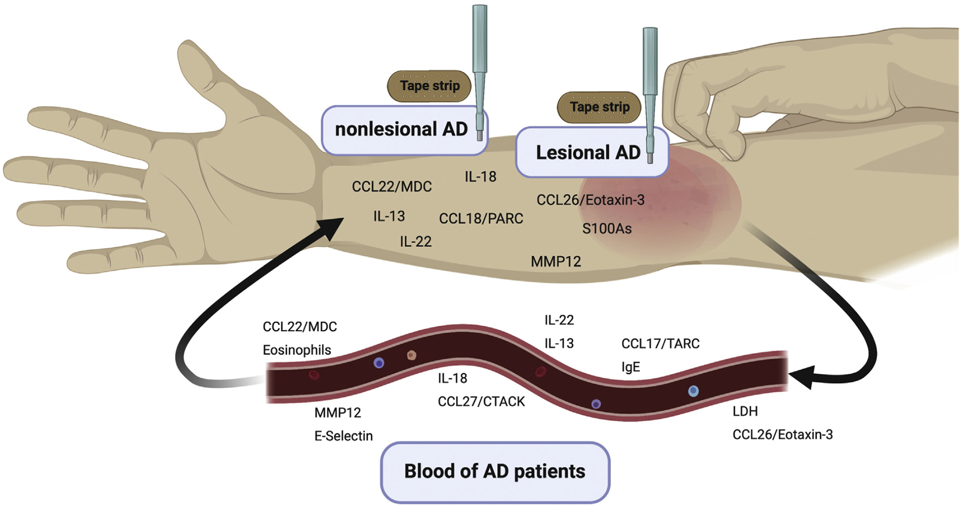 FIG 1.