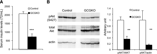 FIG. 8.