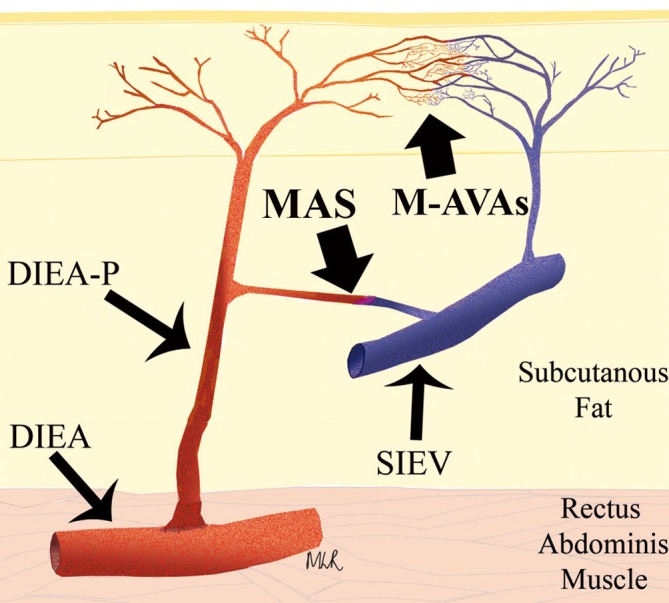 Figure 19