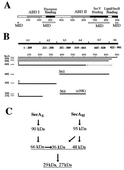 FIG. 7