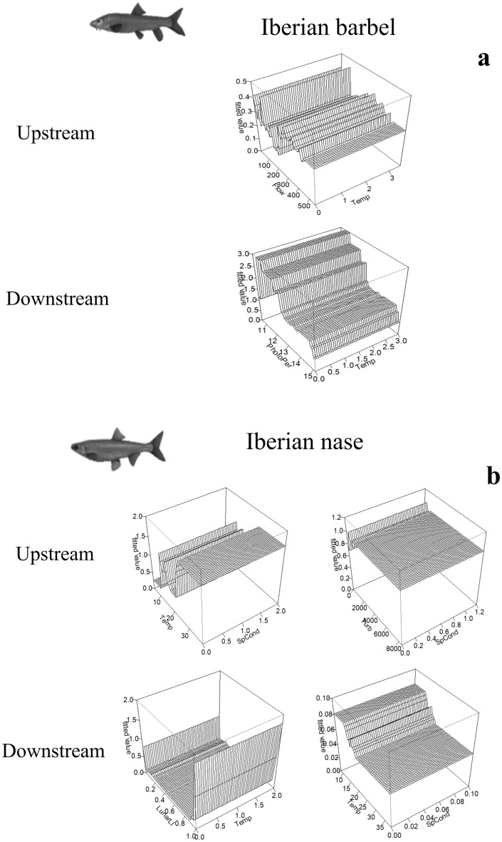 Fig. 10