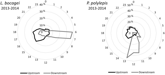 Fig. 6