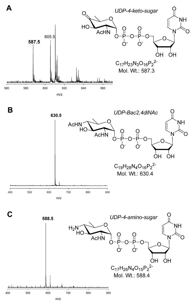 Figure 5