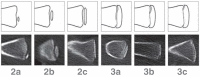 eFigure 4