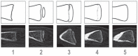 eFigure 3