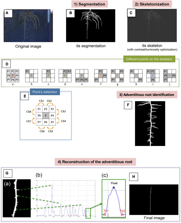 FIGURE 2