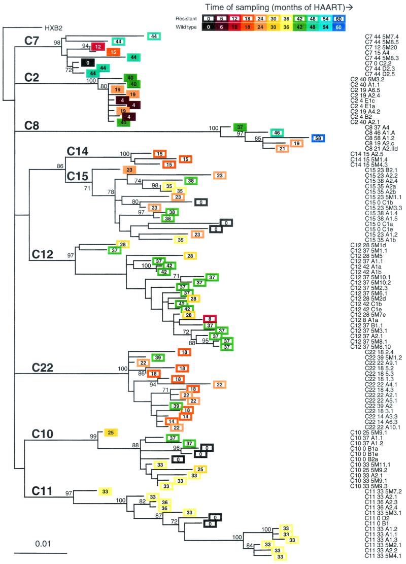 FIG. 2.