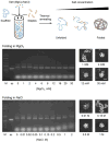 Fig. 6