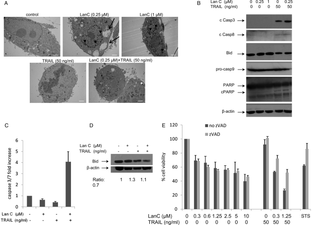 Fig. 4.