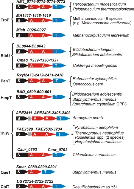 FIG. 2.