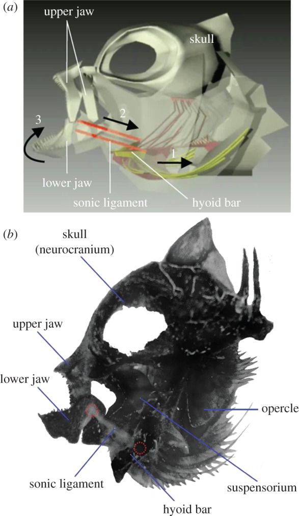 Figure 1.