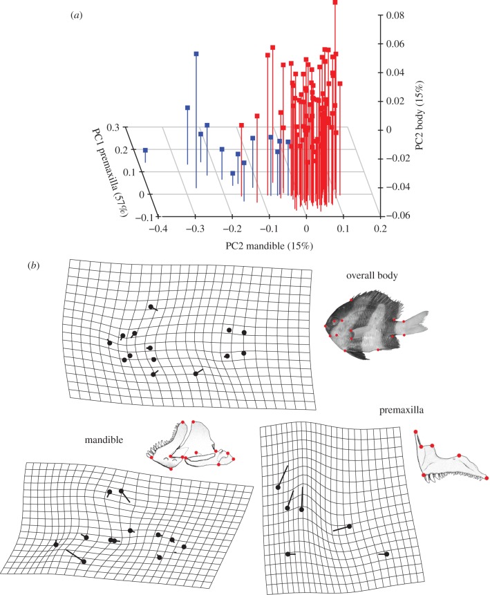 Figure 3.