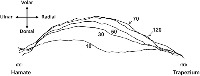 Fig. 5