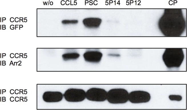 Fig 4