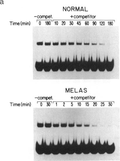 graphic file with name pnas01084-0014-a.jpg