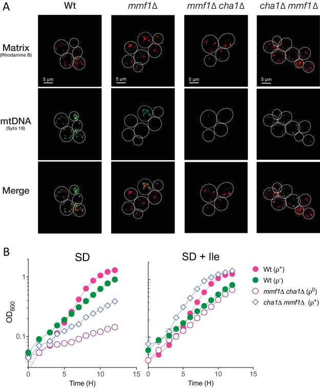 FIG 4 